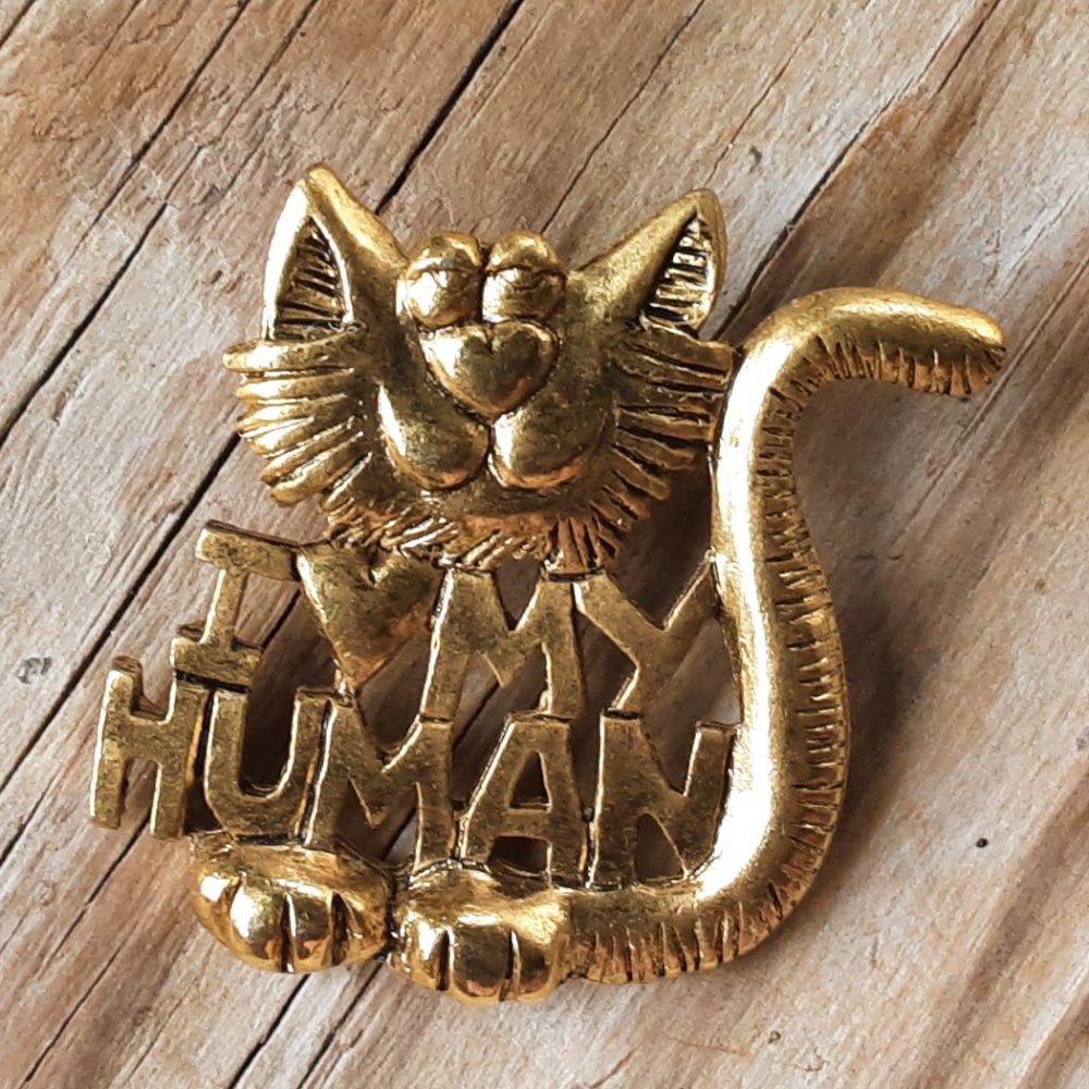 Cat I Love Heart My Human Brooch